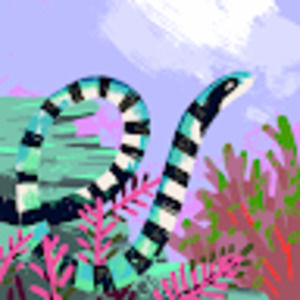 Meet your Posher, Kenai